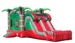 4-1 Ruby Crush Combo Double Lane Dry 13x30 4-1 Ruby Crush Combo Double Lane Dry 13x30